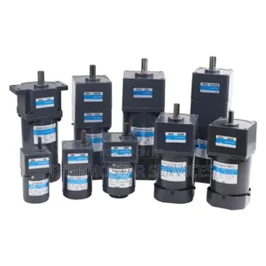Conveyor Motor