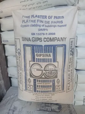 Gipsina Imported Plaster of Paris 40kilos