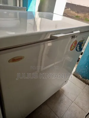 Stepless Chest Freezer 300l