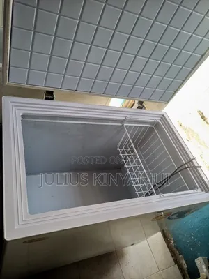Stepless Chest Freezer 300l
