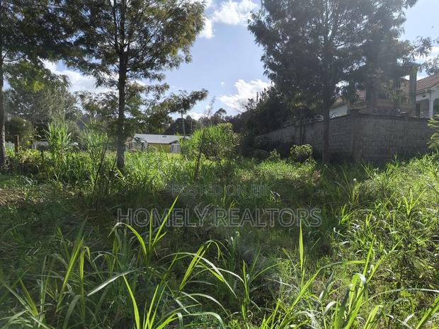 Eighth Acre Plot in Ngong, Matasia 200 Meters From Tarmac - thumbnail 4