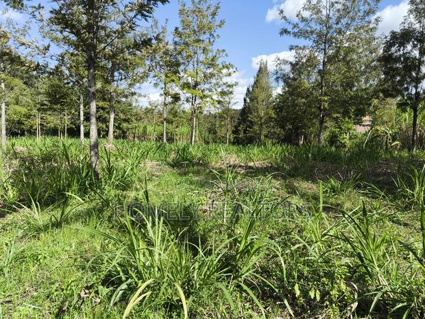 Quarter Acre Plot in Ngong, Matasia 200 Meters From Tarmac - main view