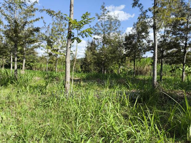 Quarter Acre Plot in Ngong, Matasia 200 Meters From Tarmac - thumbnail 5