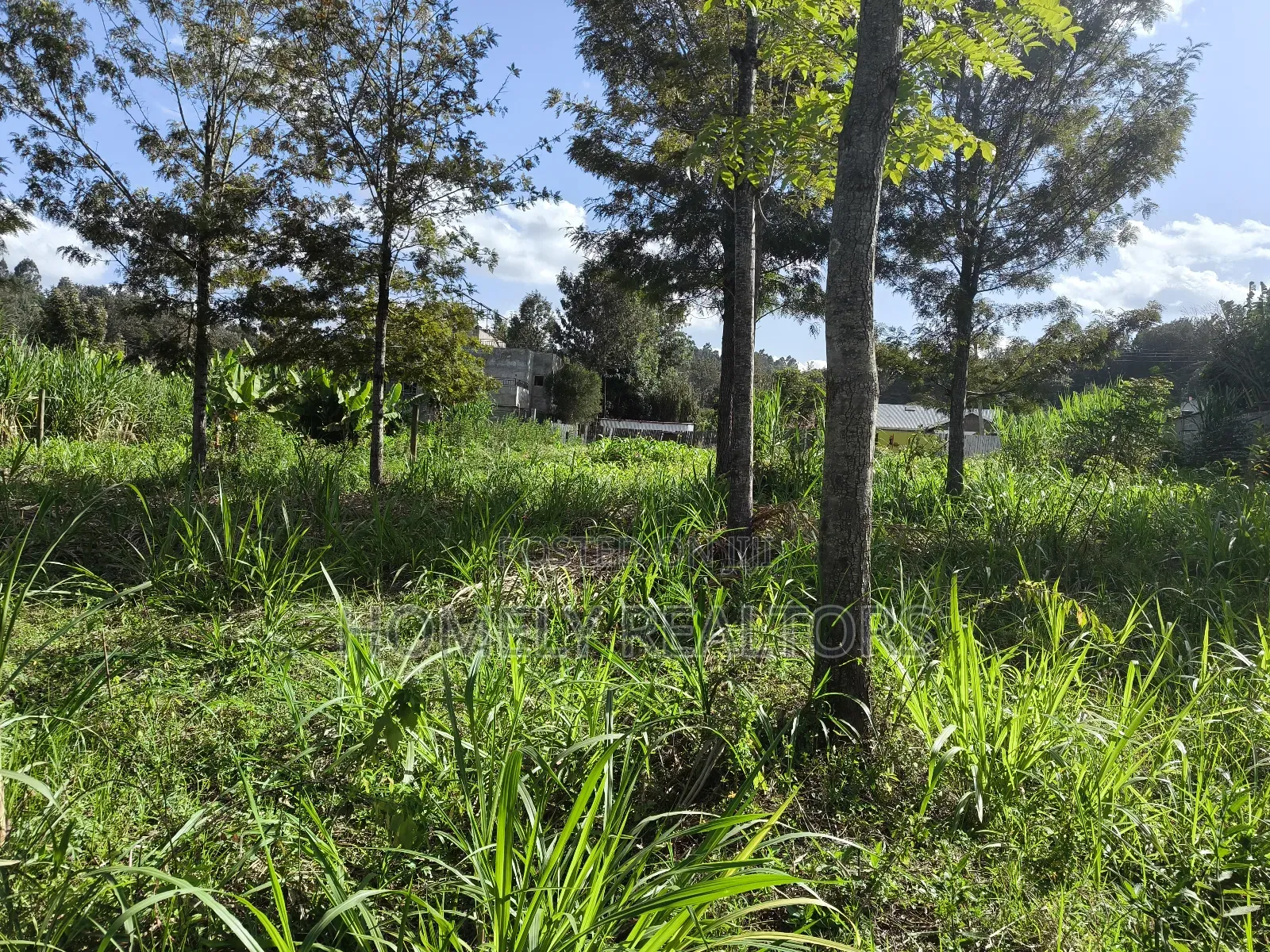 Quarter Acre Plot in Ngong, Matasia 200 Meters From Tarmac