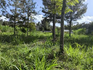 Quarter Acre Plot in Ngong, Matasia 200 Meters From Tarmac