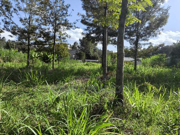 Quarter Acre Plot in Ngong, Matasia 200 Meters From Tarmac - thumbnail 6