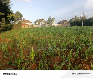 1/2 Acre Elgonview Upper With Title
