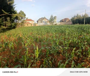 1/2 Acre Elgonview Upper With Title