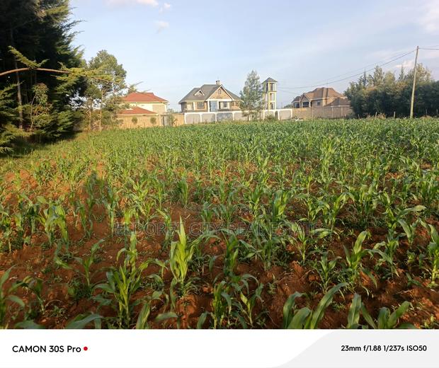 1/2 Acre Elgonview Upper With Title - thumbnail 2