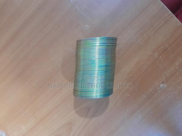 Slinky Spring for School Lab - main view