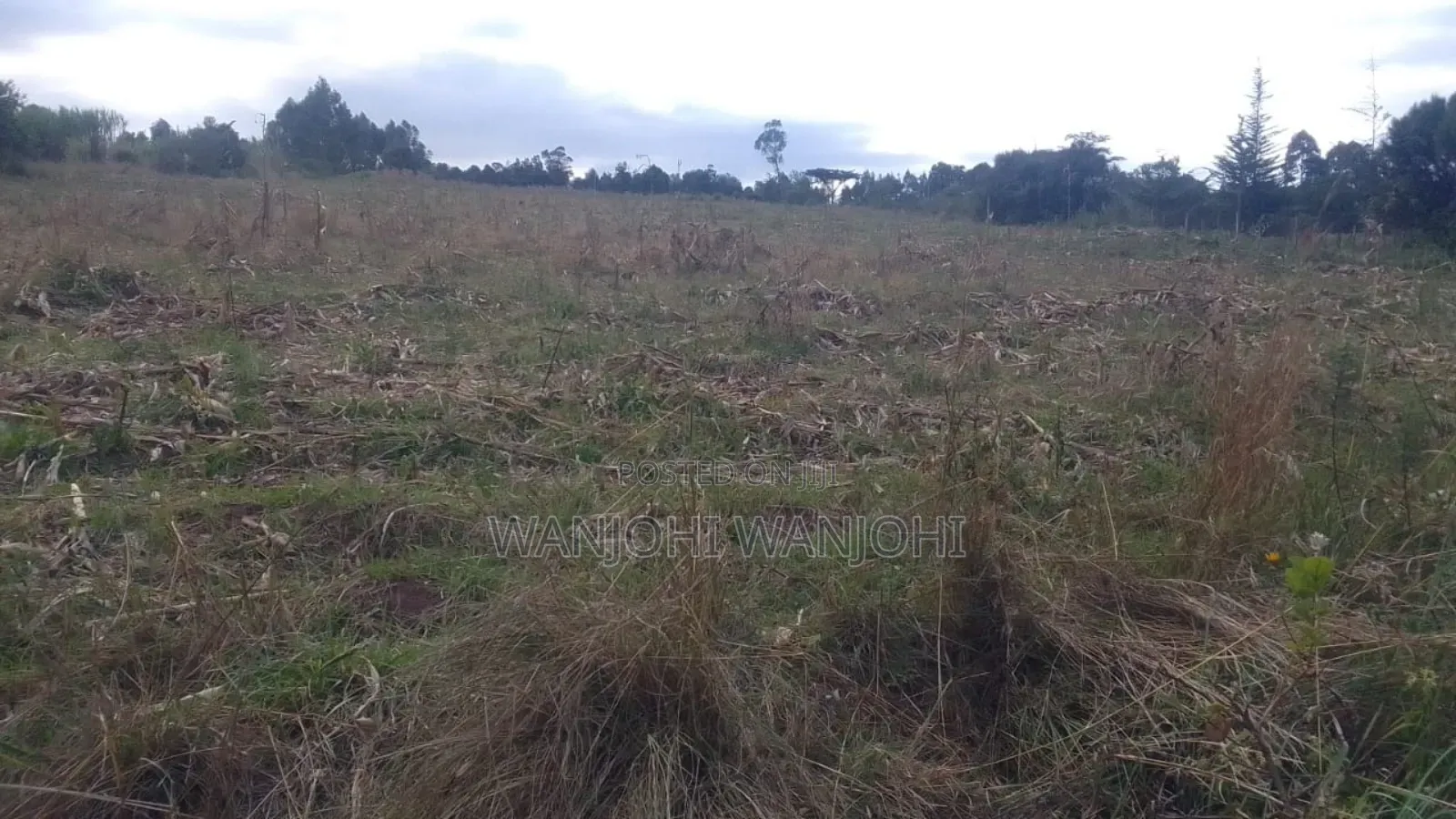 Prime 1 Acre in Gatimu