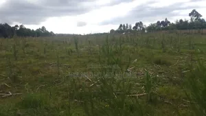 Prime 1 Acre in Gatimu