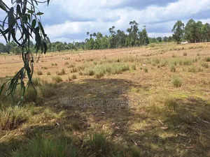 1acre Plot in Nyahururu Environs