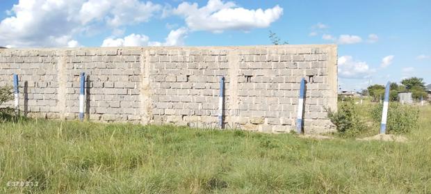 40 by 60 Plot With Perimeter Wall, Gate and Water - thumbnail 4