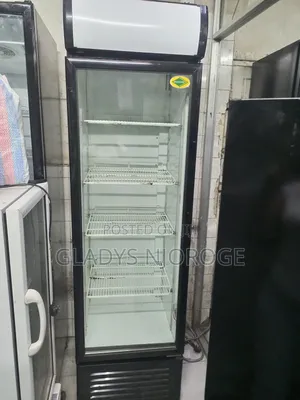 Show Case Display Fridge (500l)