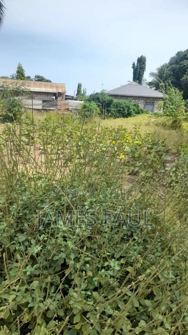 Malindi Takaye - main view