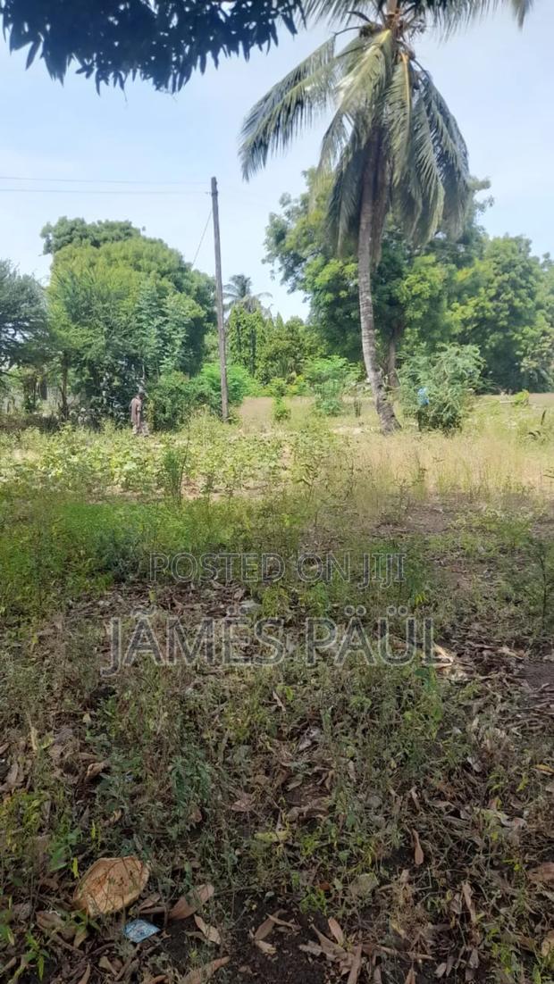 Malindi Takaye - thumbnail 2