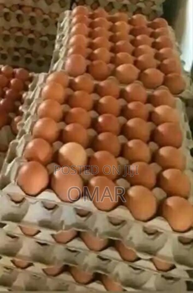 Yellow Yolk Eggs - main view