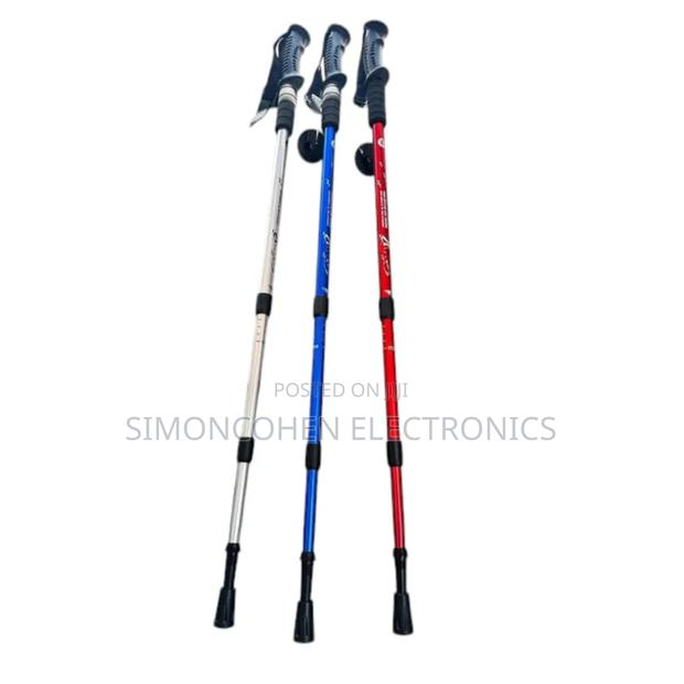 Strong Hiking Poles - main view