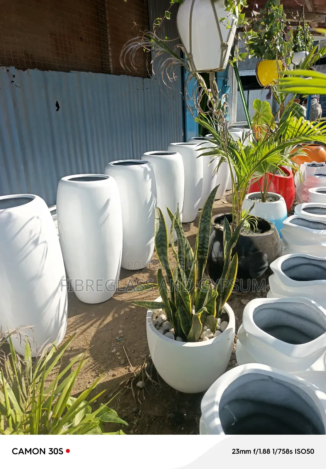 Fibreglass Flower Pots ( Canna Pot)