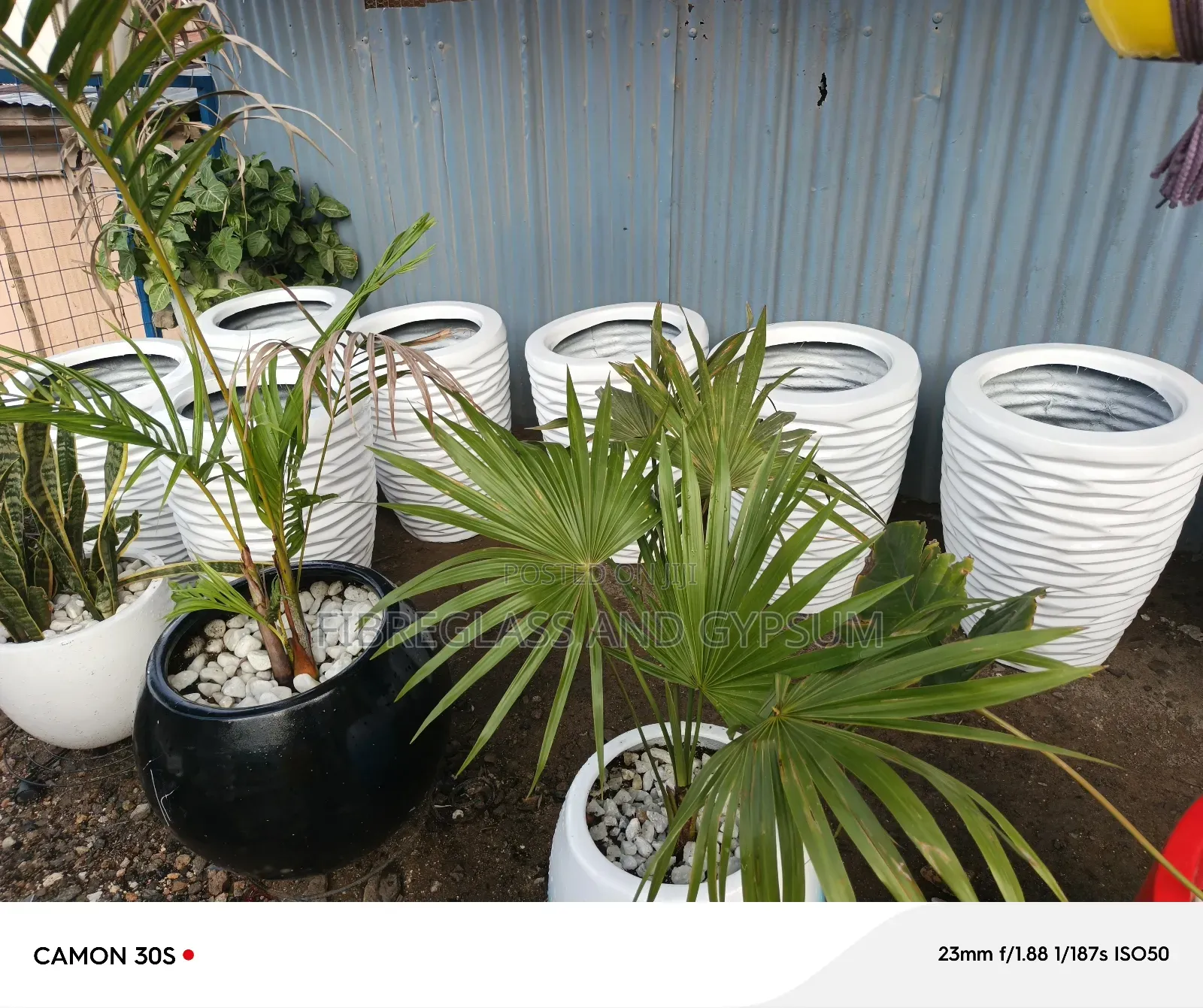 Fibreglass Flower Pots ( Maggie Fibre Pots)