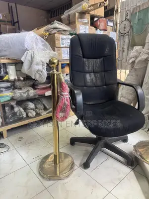 Premium Gold Queue Stand – Organized & Elegant