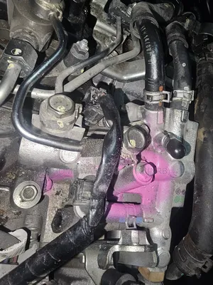 Injector Pump Cx5