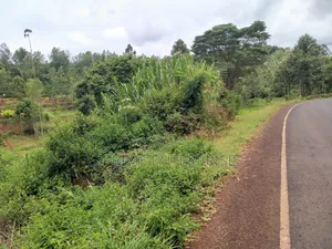 Land for Sale /Plot for Sale