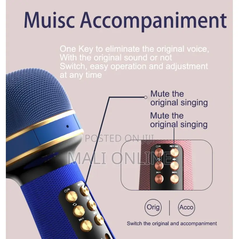 Wireless Portable Karaoke Microphone Speaker Bt Column Mic