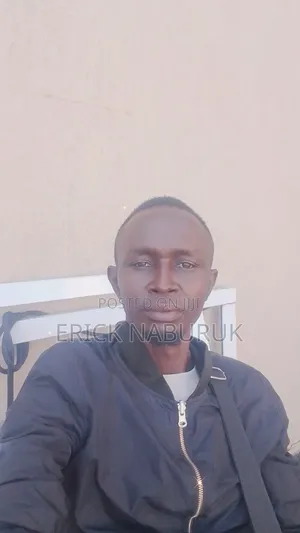 Sales Agent