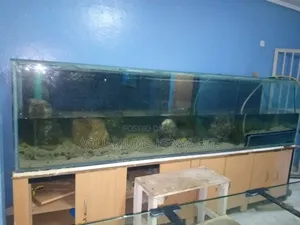 Any Size Aquarium Repair Services