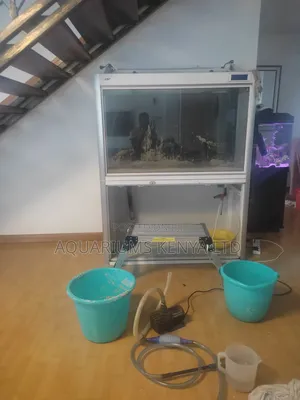 Aquarium Professional Deep Cleaning Services