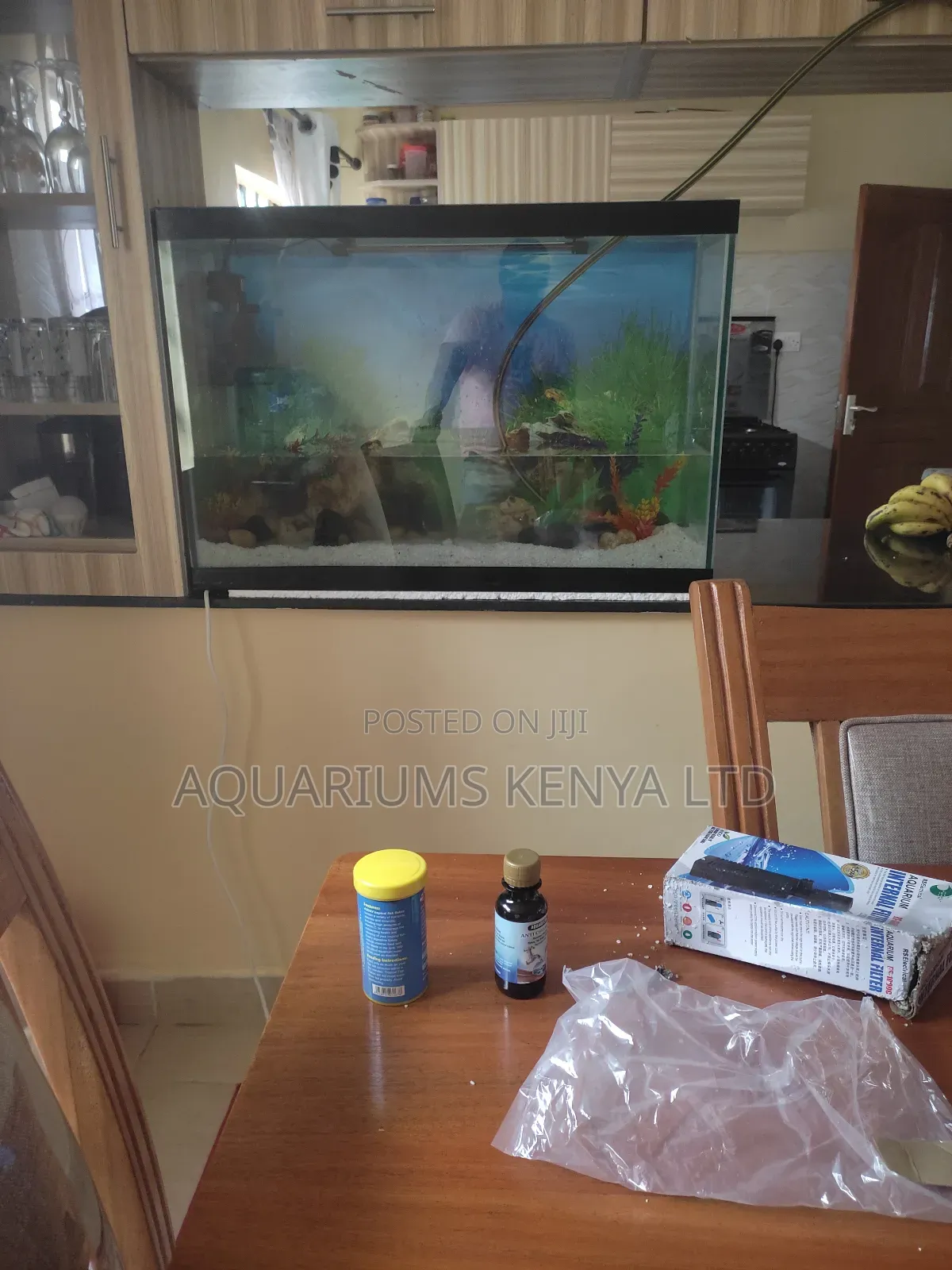 Aquarium Maintenance Paid Monthly Programs