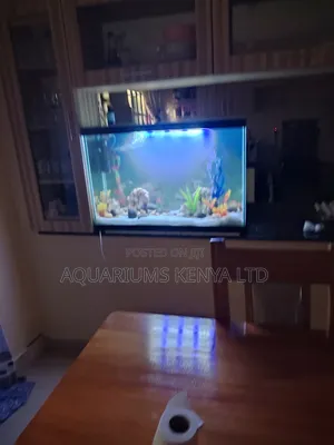 Over Kitchen Counter Aquariums