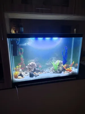 Self-Standing Aquarium 3ftx2ftx1ft 45 Gallon Fish Tank~170l