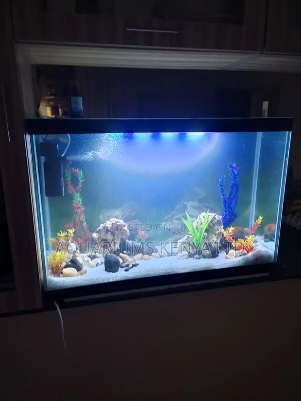 Self-Standing Aquarium 3ftx2ftx1ft 45 Gallon Fish Tank~170l - main view
