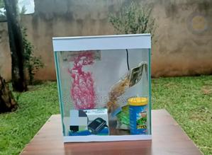 All-in-One Aquarium Starter Kit – Just Add Water Fish! - thumbnail 2