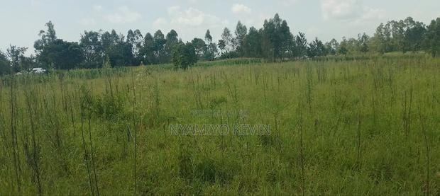 Alego Matera - main view