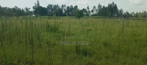 Alego Matera - thumbnail 3