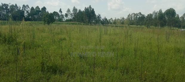 Alego Matera - thumbnail 4