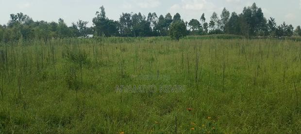 Alego Matera - thumbnail 5