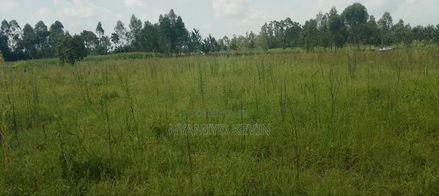 Alego Matera - thumbnail 6