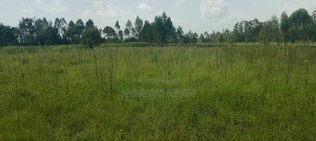 Alego Matera - thumbnail 7