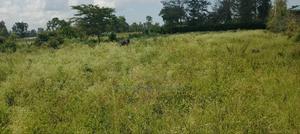 Bondo Behind Acccasia Hotel - thumbnail 2