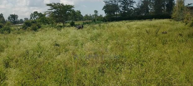 Bondo Behind Acccasia Hotel - main view