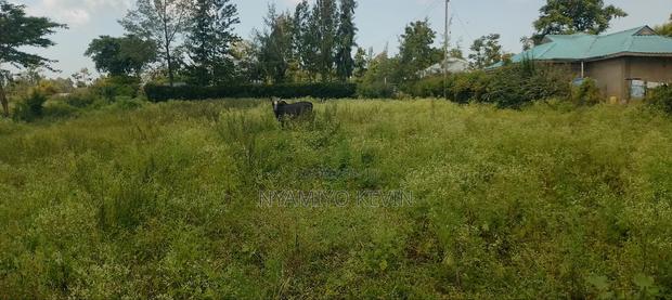 Bondo Behind Acccasia Hotel - thumbnail 3