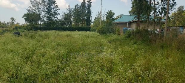 Bondo Behind Acccasia Hotel - thumbnail 4