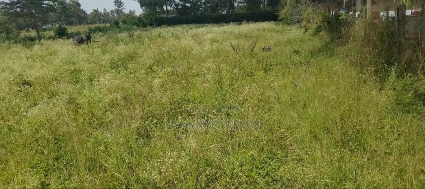 Bondo Behind Acccasia Hotel - thumbnail 5