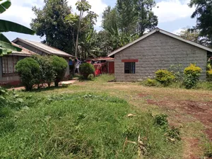 3bdrm House in Banana for rent