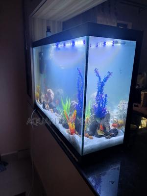 Newly Setup Custom Made Aquarium - thumbnail 2